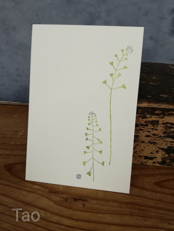 no.1『ナズナ』・季節の草花で彩る手捺し原画ポストカード（2枚入り） 2枚目の画像