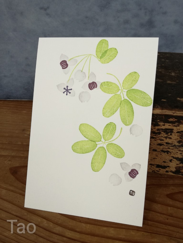 no.6『アケビ』・季節の草花で彩る手捺し原画ポストカード（2枚入り） 2枚目の画像