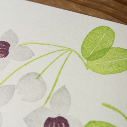 no.6『アケビ』・季節の草花で彩る手捺し原画ポストカード（2枚入り） 3枚目の画像
