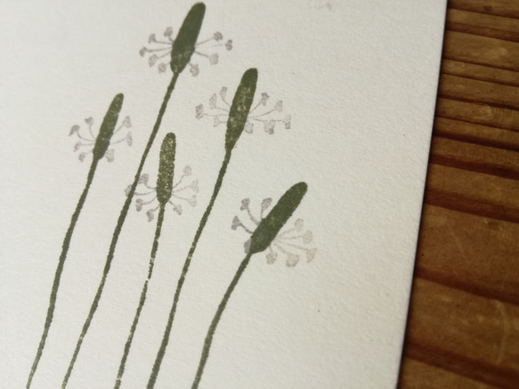 no.11『ヘラオオバコ』・季節の草花で彩る手捺し原画ポストカード（2枚入り） 3枚目の画像