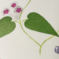 no.19『ヘクソカズラ』・季節の草花で彩る原画手捺しポストカード（2枚入り） 3枚目の画像