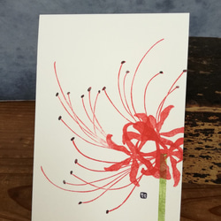 no.26『ヒガンバナ』・季節の草花で彩る手捺し原画ポストカード（2枚入り） 2枚目の画像