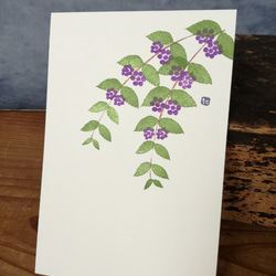 no.32『コムラサキ』・季節の草花で彩る手捺し原画ポストカード（2枚入り） 2枚目の画像
