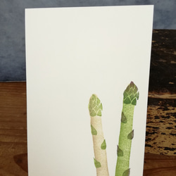 no.41『アスパラ』・季節の草花で彩る手捺し原画ポストカード（野菜バージョン）（2枚入り） 2枚目の画像