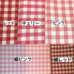 不織布が見える2wayマスクカバー☆チェックマスク️ 抗菌・アトピー協会推薦❄️etc【受注】 2枚目の画像