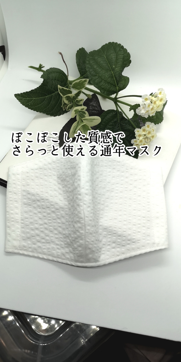 不織布が見える2wayマスクカバー☆ワッフルマスク 抗菌・アトピー協会推薦❄️etc【受注】 2枚目の画像