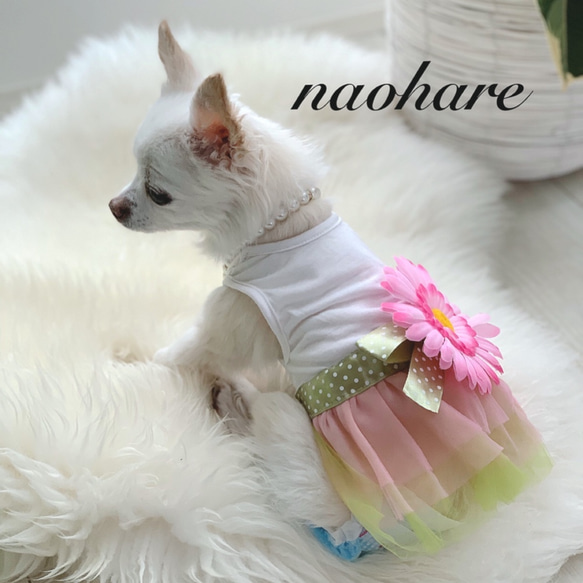 新作　犬服　Lサイズ　ドッグウェア　猫服　ワンピース　チュールスカート　お花ブローチ　夏服　犬夏服　ペットウェア　可愛い 3枚目の画像