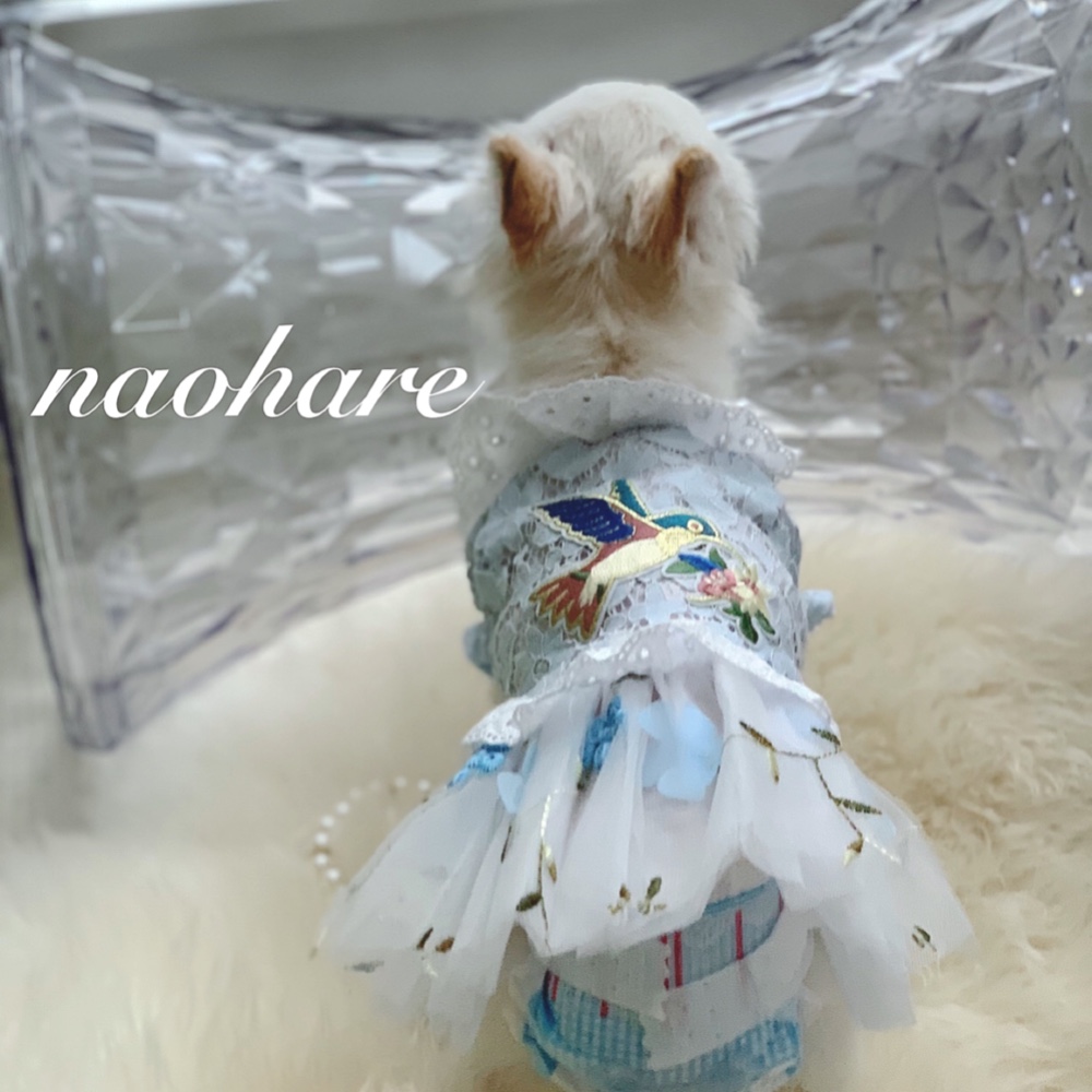 犬服ハンドメイド☆レース付きワンピース （ハンドメイド犬服 バルーン 