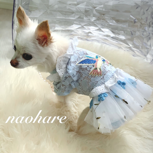 再販ラスト1点 ペット服 犬服 小型犬 レースワンピース チュール