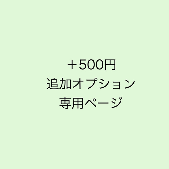 + 500日元附加選項訂購專用頁面 第1張的照片