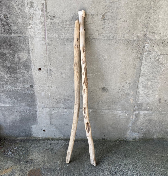 送料込【大きめ枝流木】2本セット。洗浄、やすりがけ済 その他