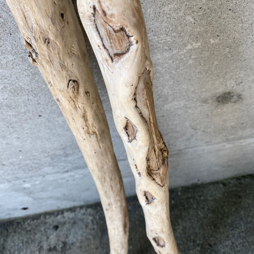 送料込【大きめ枝流木】2本セット。洗浄、やすりがけ済 その他