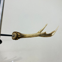 値下げ！【鹿の角スタンド】送料込☆値下げ！インテリアにも最適。洗浄