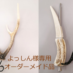 値下げ！【鹿の角スタンド】送料込☆値下げ！インテリアにも最適。洗浄