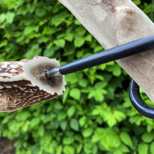 鹿の角ランタンハンガー エゾ鹿角 ランタンハンガー - ROKUBO( ロクボー ) 北海道アウトドア