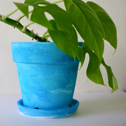涼しげなソーダブルーの植木鉢　リム型ポットL＋トレイ 爽やかブルーインテリア 6枚目の画像