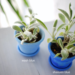 シャウエンブルー青い植木鉢　ポットS＋トレイ　chaouen blue flower pot　青いインテリア 3枚目の画像