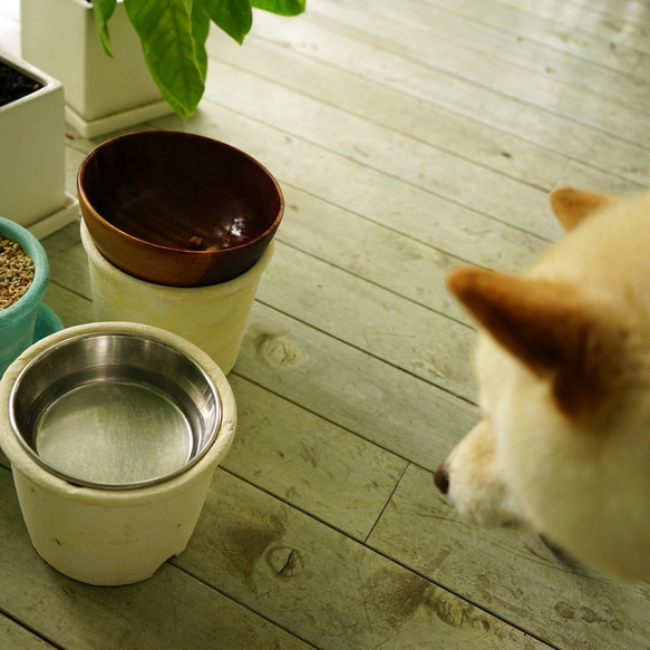 植木鉢にもなるペットの首にやさしいハイスタンドのドッグフードボウルスタンド　dog food bowl stand 1枚目の画像