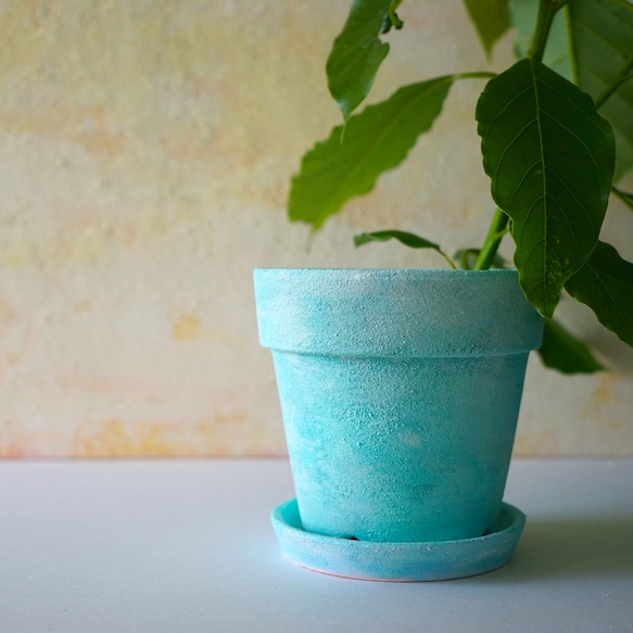 変化するミントブルーの植木鉢　リム型ポットL＋トレイ　mint blue flower pot 8枚目の画像