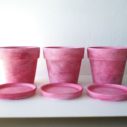 ラズベリー色の植木鉢　リム型ポットL＋トレイ　 Juicy Raspberry flower pot やさしい手ざわり 5枚目の画像
