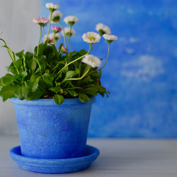 シャウエンブルー青い植木鉢　プリン型ポットL＋トレイ　chaouen blue flower pot 9枚目の画像
