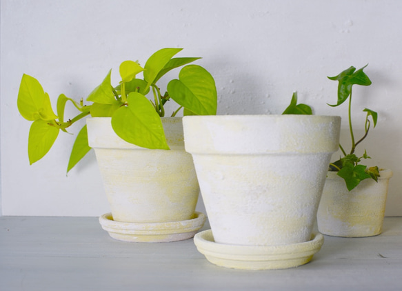 クリームホワイトの植木鉢　リム型ポットM＋トレイ cream white flower pot 2枚目の画像