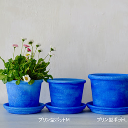 シャウエンブルー青い植木鉢　プリン型ポットM＋トレイ 9枚目の画像