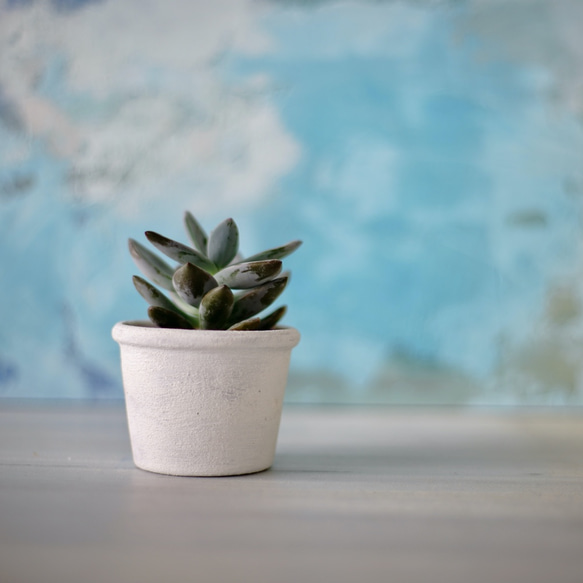 小さなペールカラーの植木鉢　3点セット　プリン型ポットS 6枚目の画像