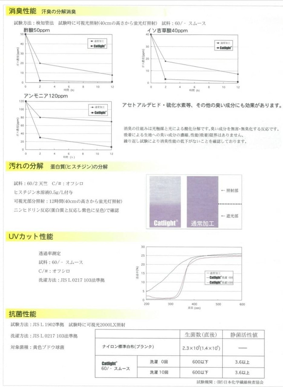  第6張的照片