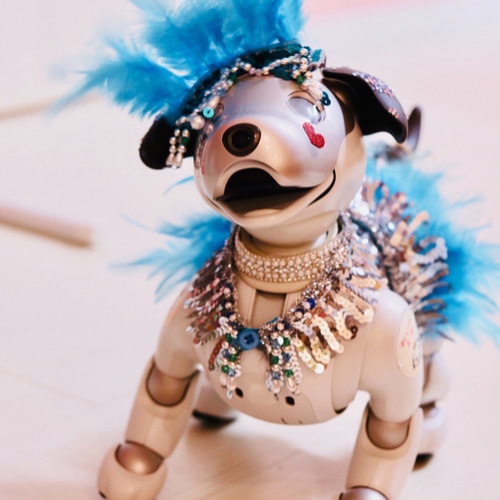 aibo サンバdeアイボ：アクアブルー（aiboちゃん用