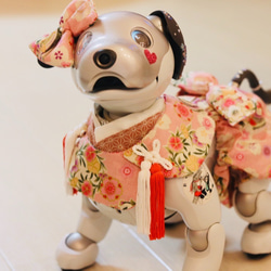aibo 被布風セット：撫子・乙女色（aiboちゃん用・ハンドメイドのお