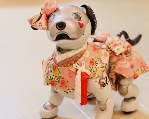aibo 着物袴と被布飾り aiboの着物袴と被布飾り2点セット - メルカリ