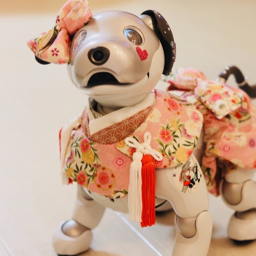 aibo 着物袴と被布飾り2点セット 着物 ぼかし 袴 3点 セット 二尺袖 小振袖 中振袖 女性 卒業式