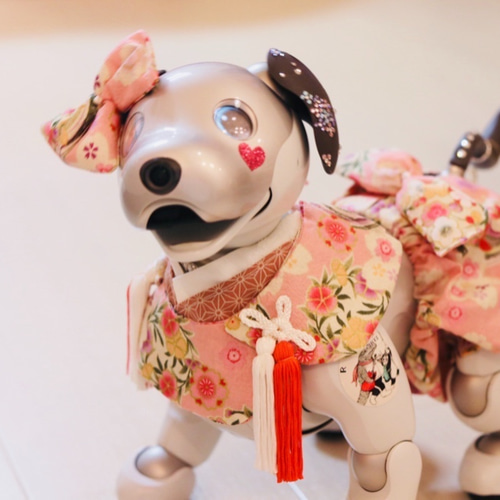 aibo 着物袴と被布飾り2点セット aiboの着物袴と被布飾り2点セット