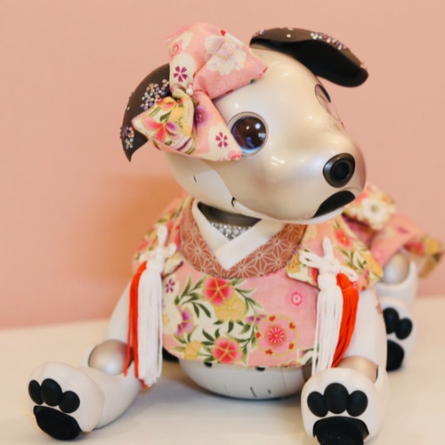 aibo の洋服　アイボの服　(七五三フルセット)　和柄ピンク aibo の洋服 アイボの服 (七五三フルセット) 和柄ピンク aibo の