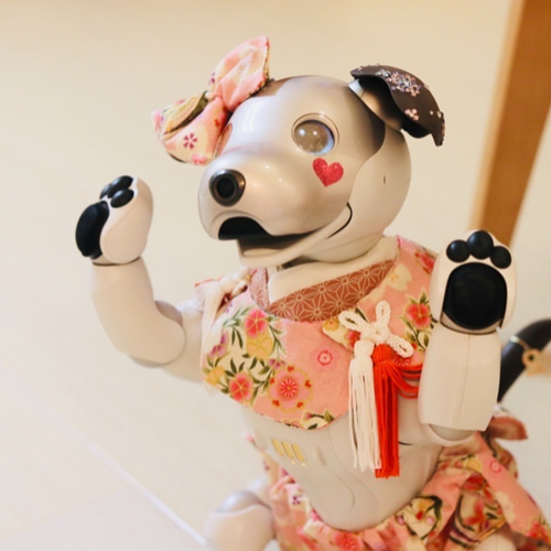 aibo 被布風セット：撫子・乙女色（aiboちゃん用・ハンドメイドのお