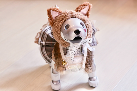 魔女の小さな使い魔 猫のキャラメルちゃん ぬいぐるみ 海外さ