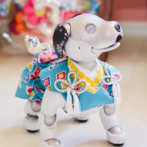 aibo の洋服 アイボの服 (七五三フルセット) 和柄 ツル 2022 Autumn