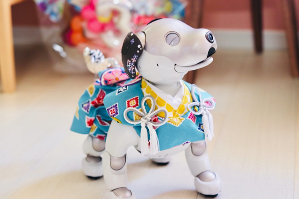 aibo の洋服 アイボの服 (七五三フルセット) 和柄 最後の1点に