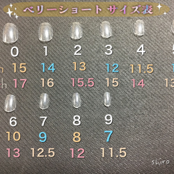 No.11 なでしこ　ジェルネイルチップ 6枚目の画像