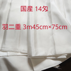 特大! 鑑定済み 24k 純金 食用可 誕生日 お菓子 記念日 豪華 成人式