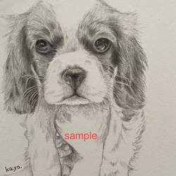 パグ❤️ 犬　原画　鉛筆画　絵画　手描き　イラスト　ハガキサイズ！！ 2025年最新】パグ手描きイラストの人気アイテム - メルカリ