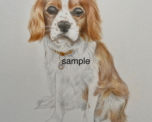 オーダーメイド 色鉛筆画 似顔絵 B5サイズ 犬 猫 送料無料 絵画 かよ