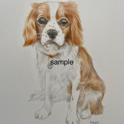 オーダーメイド 色鉛筆画 似顔絵 B5サイズ 犬 猫 送料無料 絵画 かよ