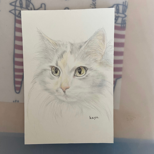 オーダーメイド 色鉛筆画 ハガキサイズ 似顔絵 猫 犬 絵画 かよ オーダーメイド 色鉛筆画 ハガキサイズ 似顔絵 猫 犬 絵画 かよ