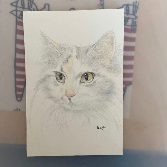 オーダーメイド　色鉛筆画　ハガキサイズ　似顔絵　猫　犬 3枚目の画像