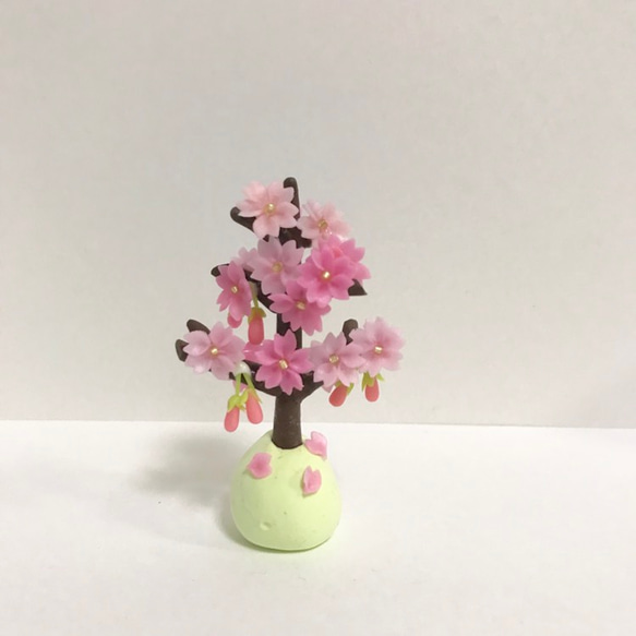 桜の木 1枚目の画像