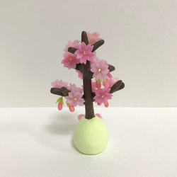 桜の木 2枚目の画像