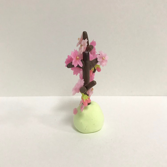 桜の木 3枚目の画像