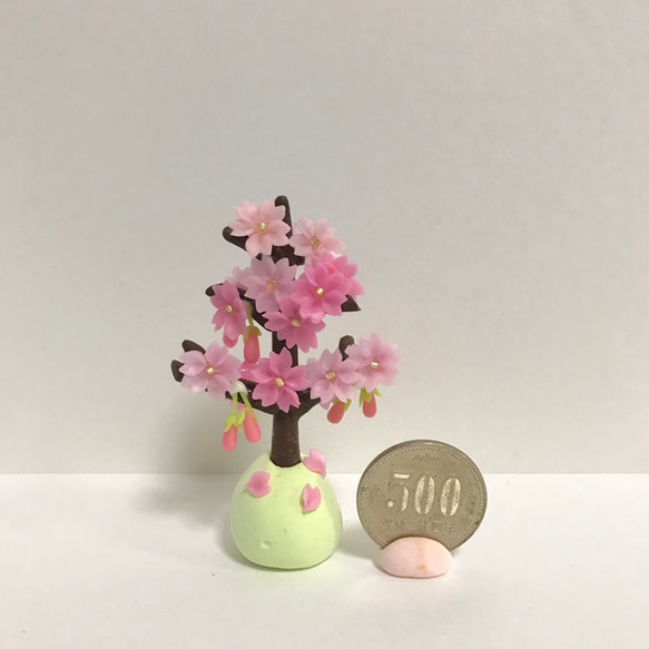 桜の木 4枚目の画像